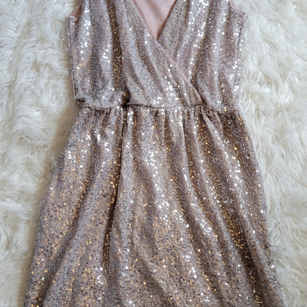 Express Champagne Sequin Dress